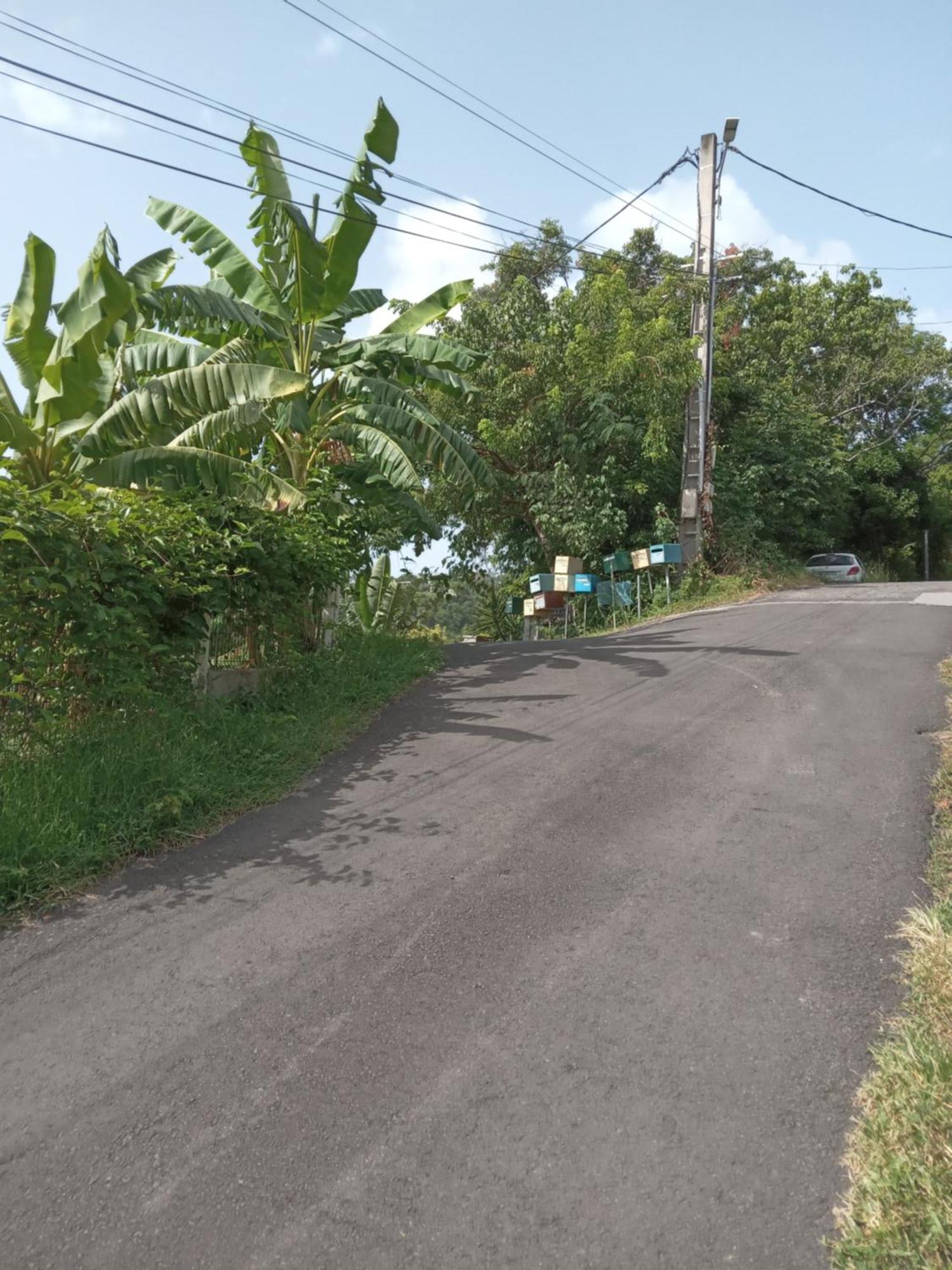 Séjour chez l'habitant / De / / Vue Sur / Salonorat *